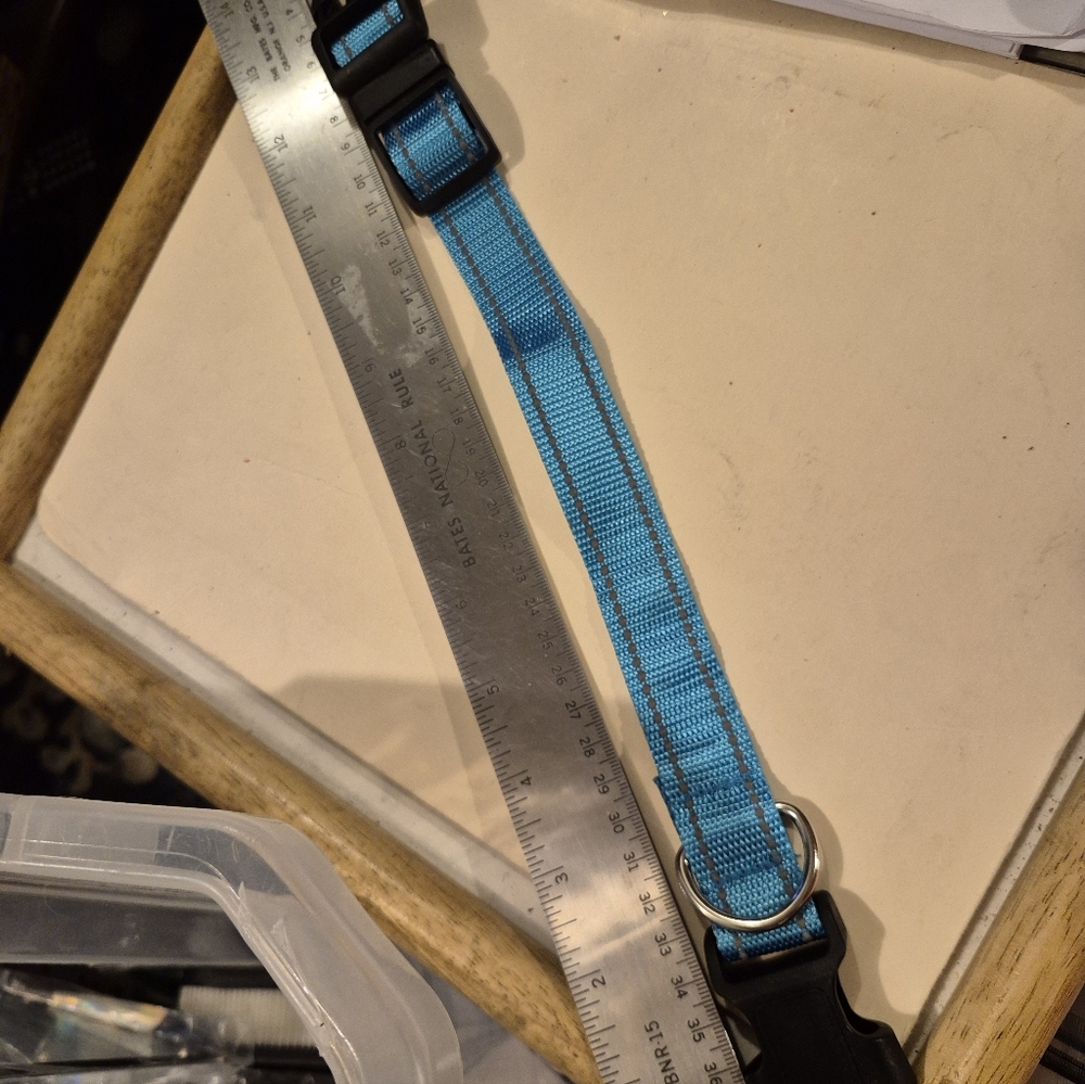 Turquois BAdjustable Dog Collar